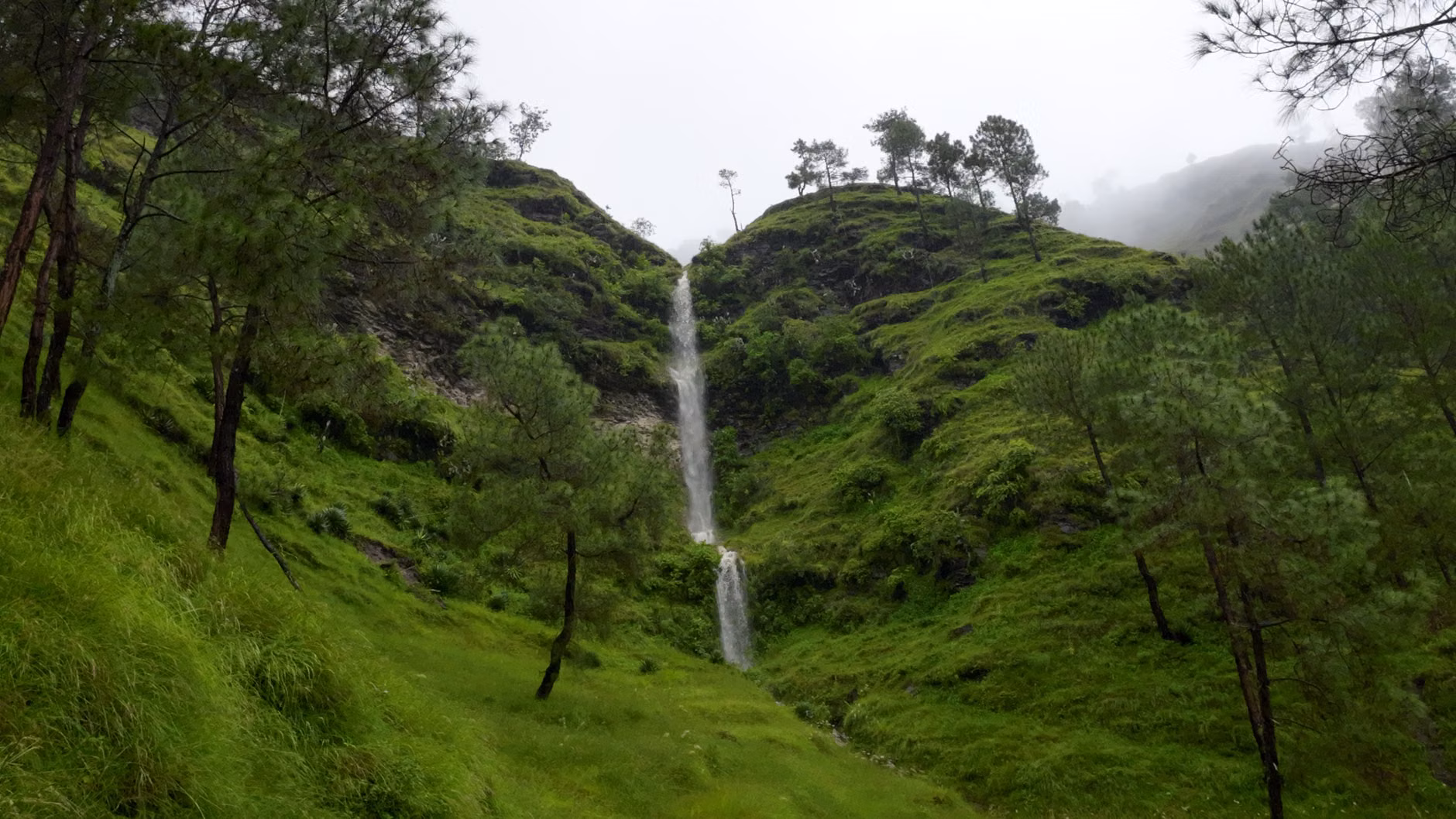 Une cascade à couper le souffle dévalant les collines verdoyantes d'Almora, Uttarakhand, Inde.