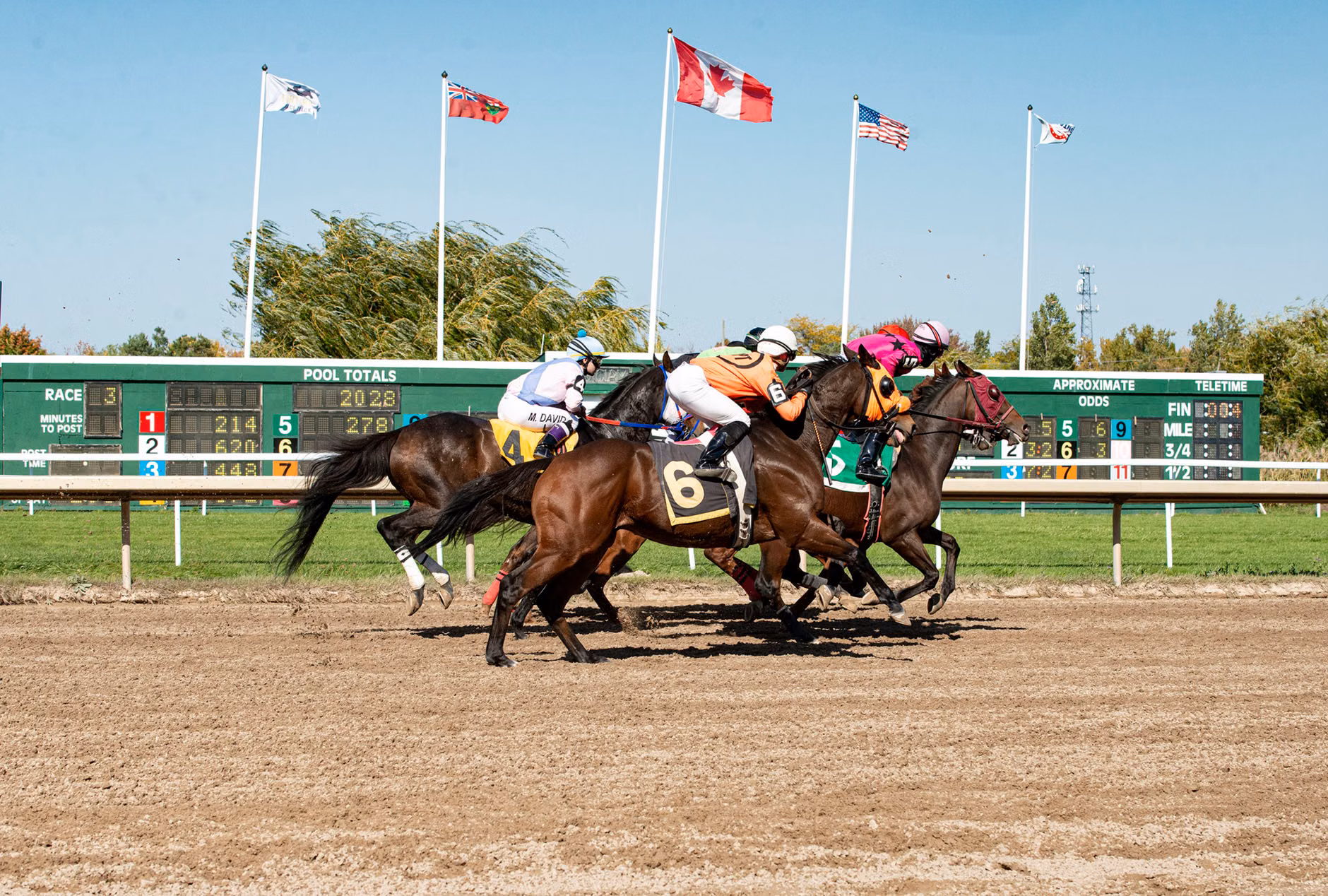 Course de chevaux dynamique avec des jockeys en action capturant le moment palpitant de la compétition.