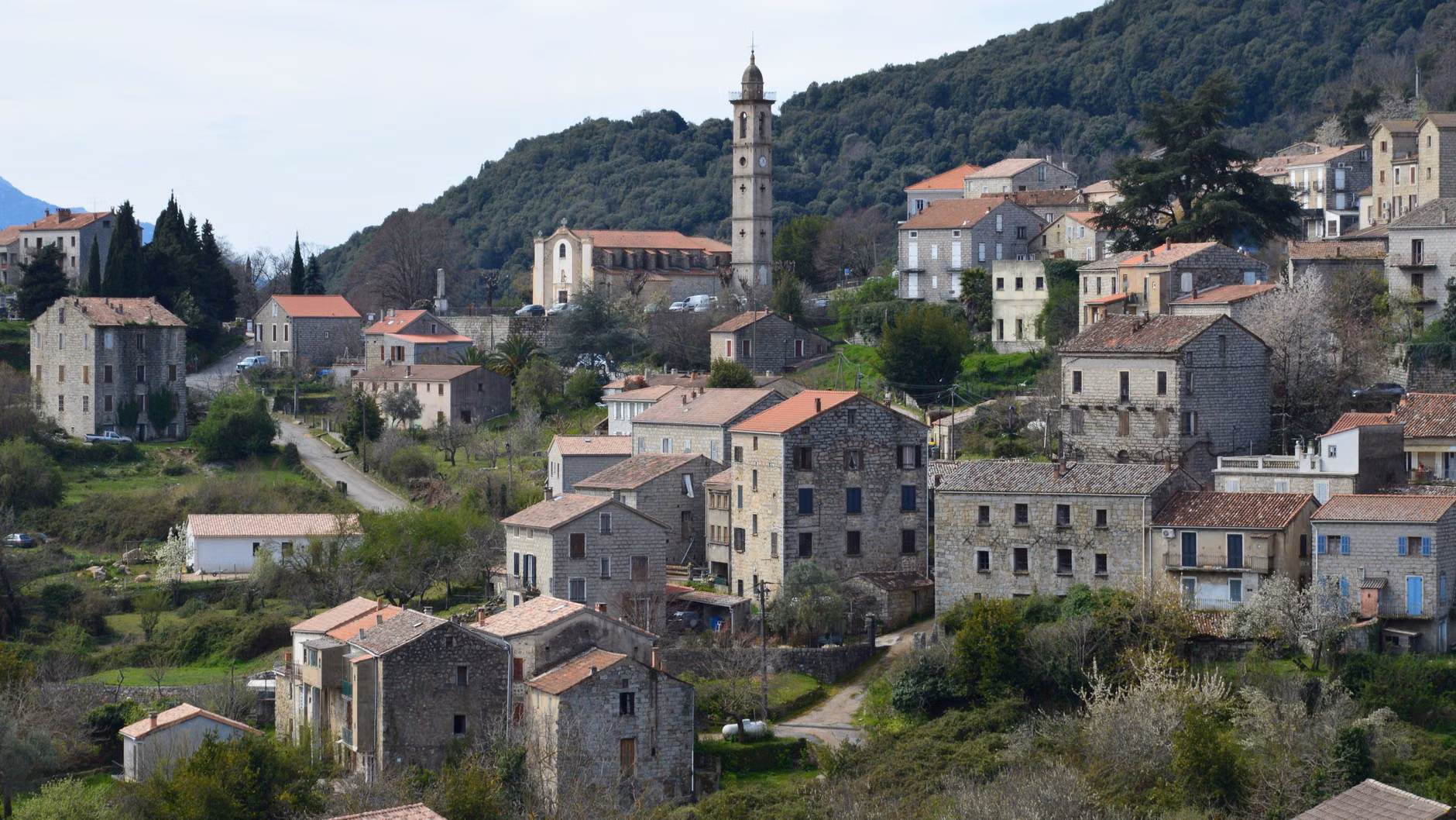 Vue pittoresque du village de Levie en Corse, France, avec une architecture traditionnelle et une végétation luxuriante.