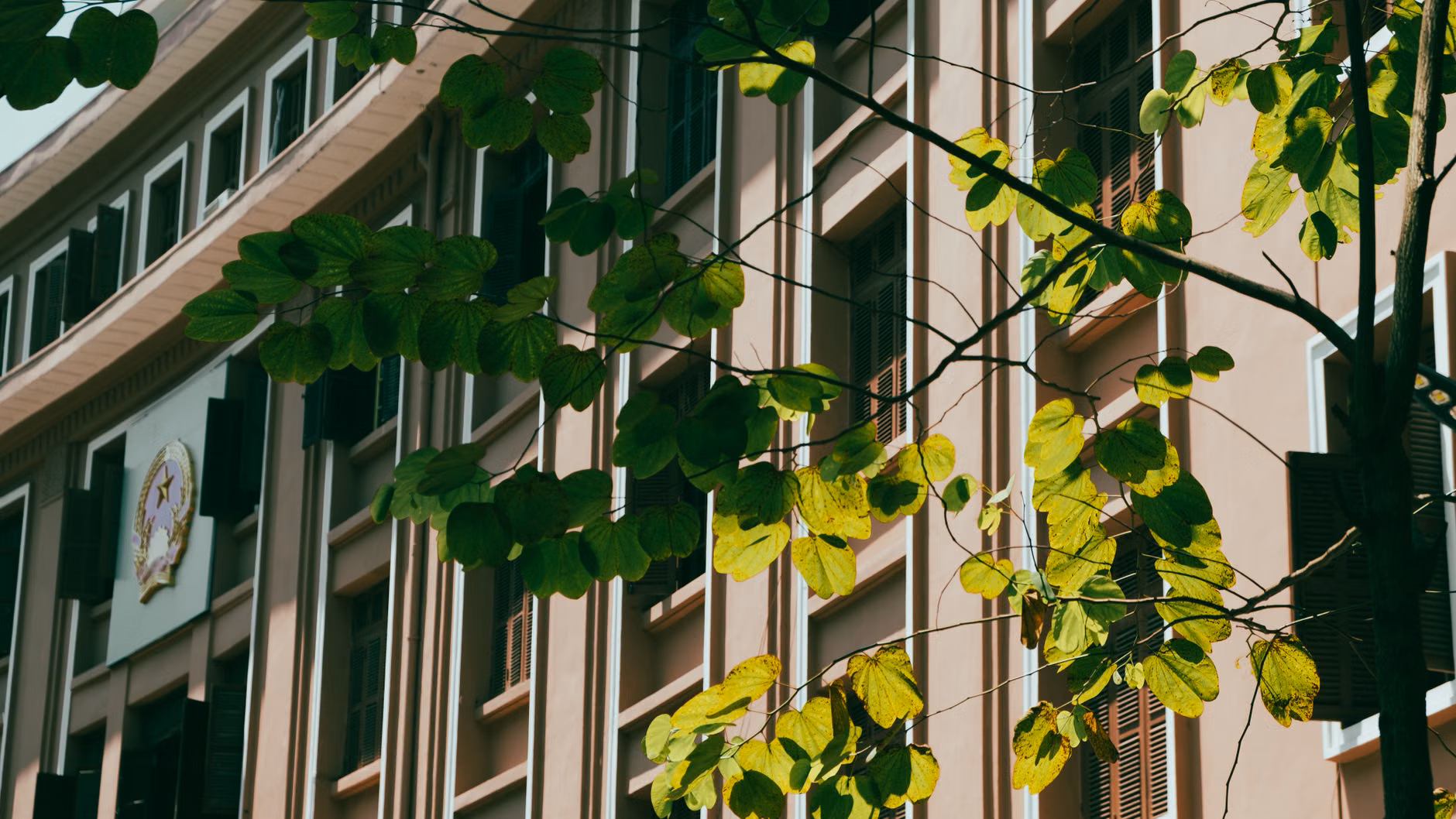 Un paysage urbain vibrant mettant en avant des feuilles vertes contre la façade d'un bâtiment gouvernemental.